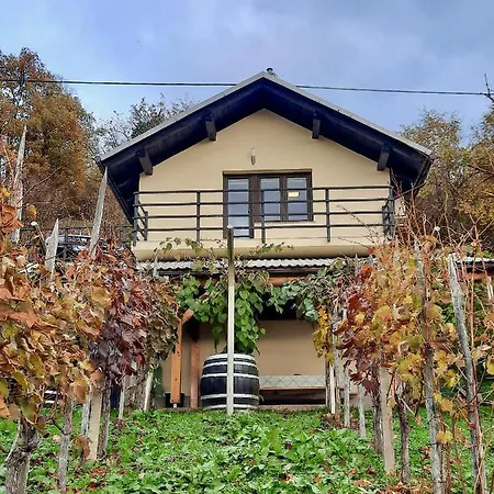 Vineyard Cottage Kulovec Ursna Sela Exterior photo