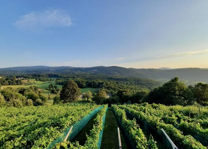 Vineyard Cottage Kulovec