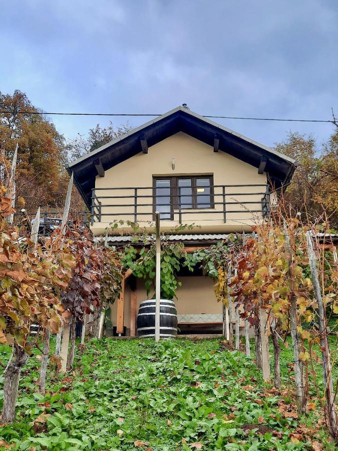 Vineyard Kulovec * Ursna Sela
