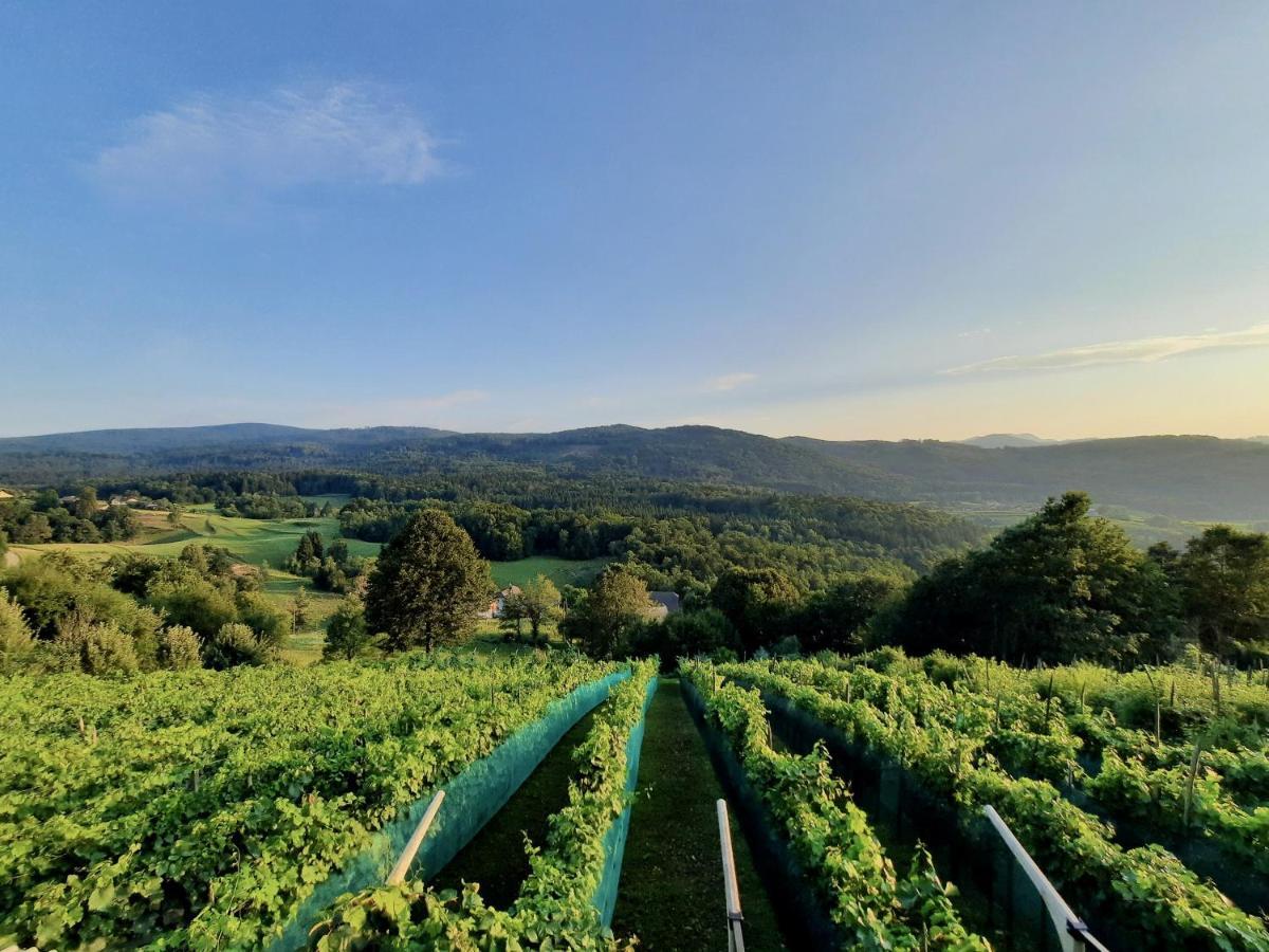 Vineyard Kulovec Apartman