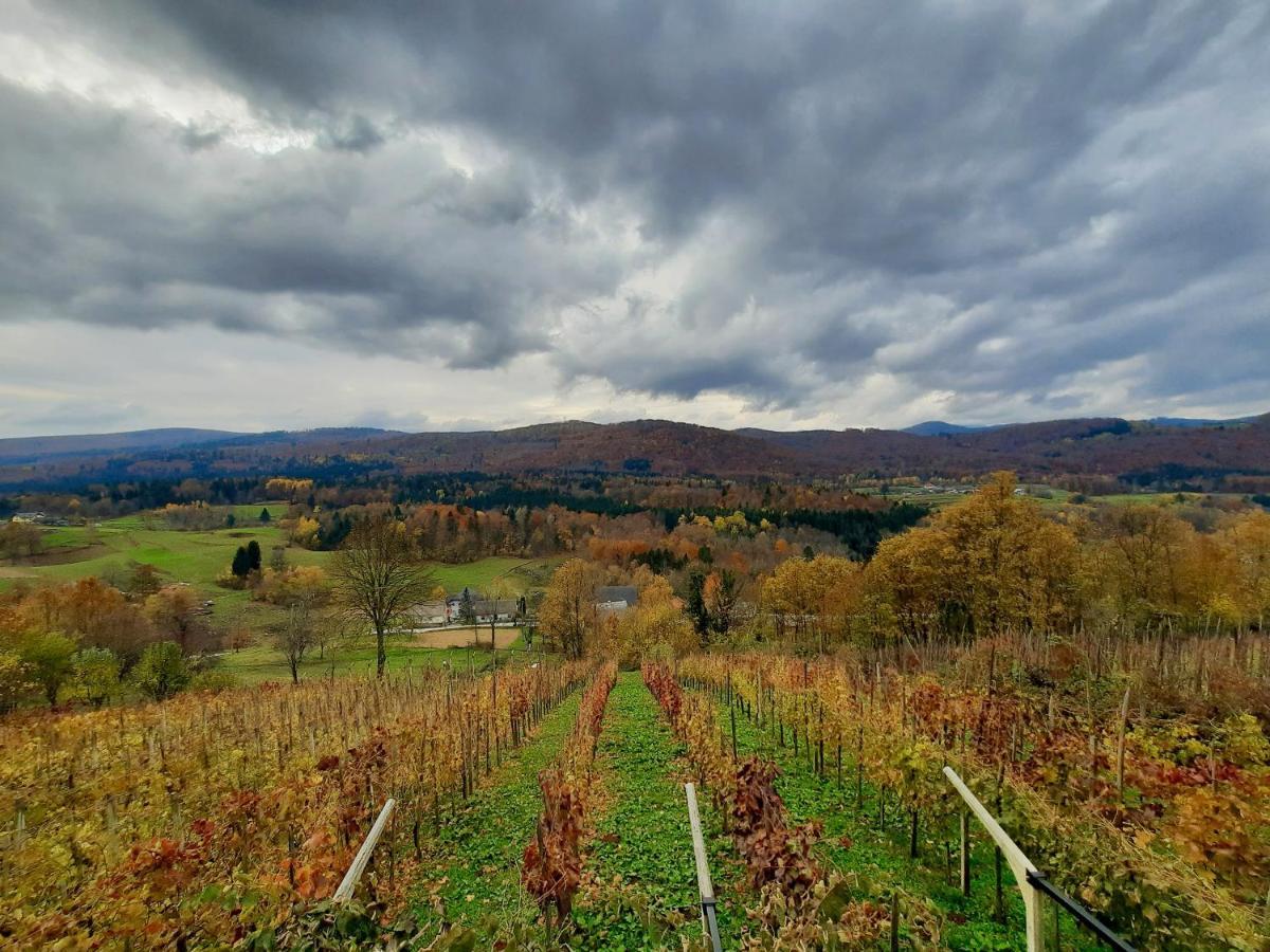 Vineyard Kulovec * Ursna Sela
