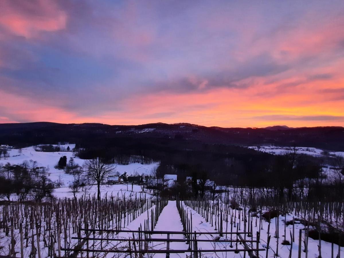 Vineyard Kulovec Apartment